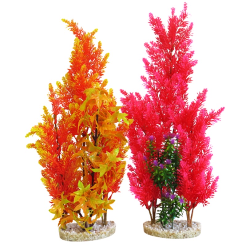 AQUAPLANT COLOR GIANT