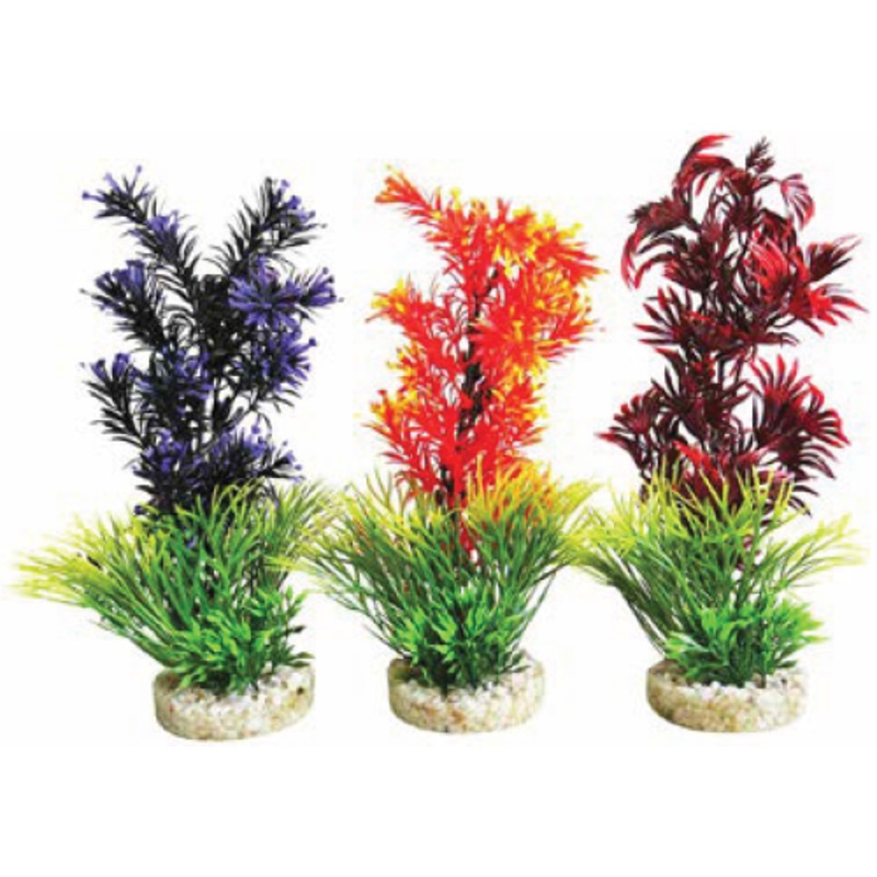 AQUAPLANT COLOR MEDIUM