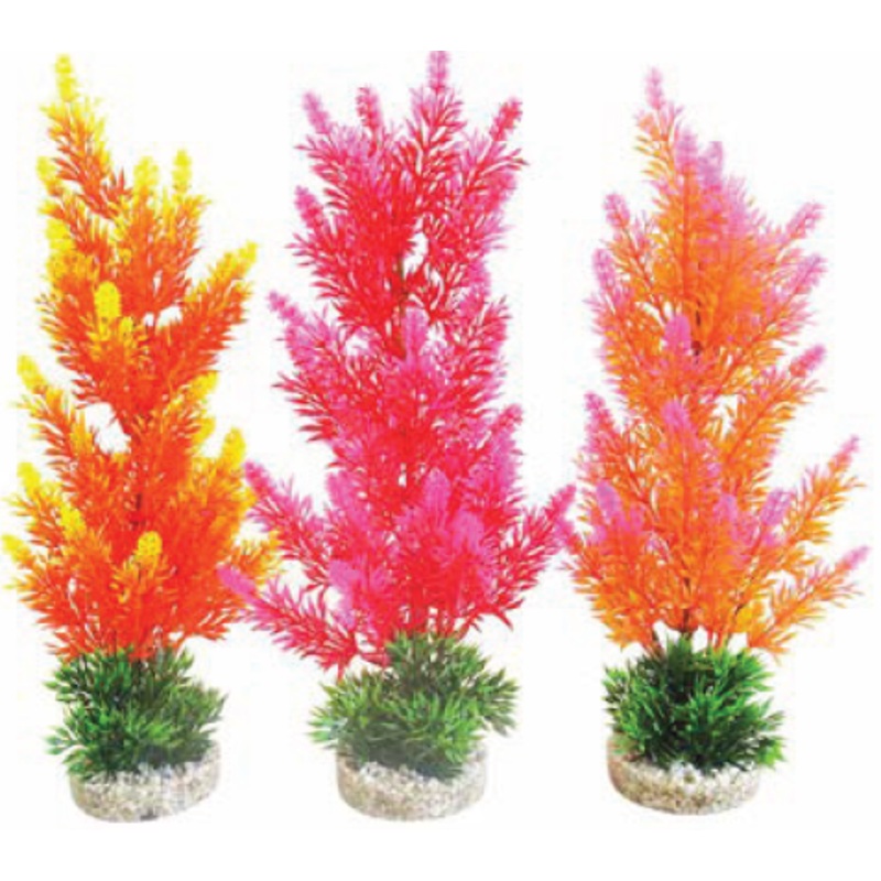 AQUAPLANT COLOR X-LARGE
