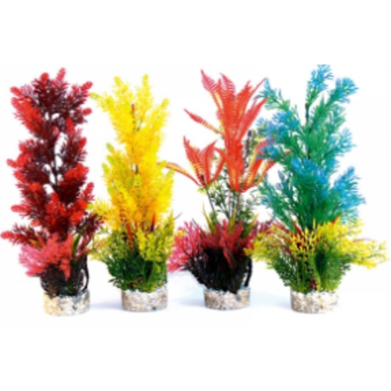 AQUAPLANT COLOUR XLARGE 32cm
