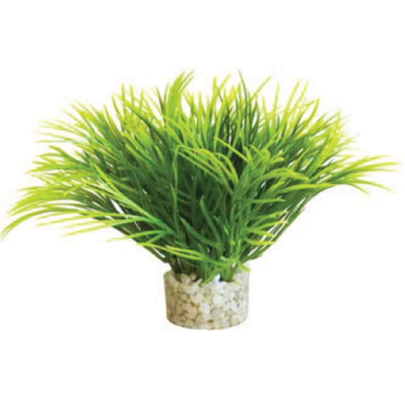 AQUATIC LEAVES