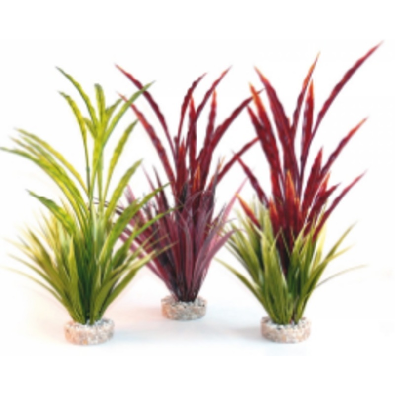 ATOLL GRASS