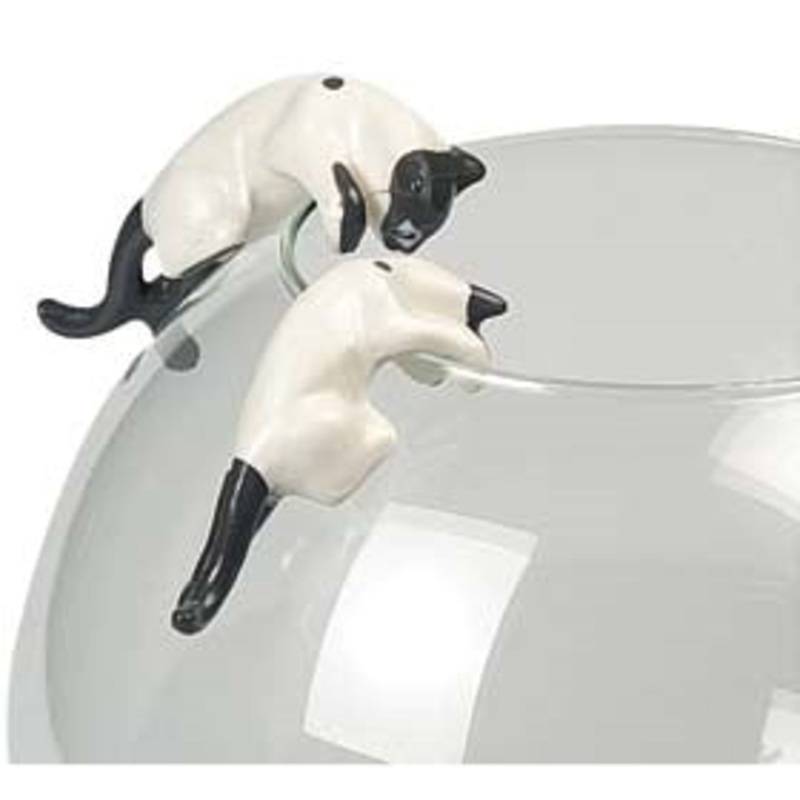CATS FOR BORDER OF FISH GLASS