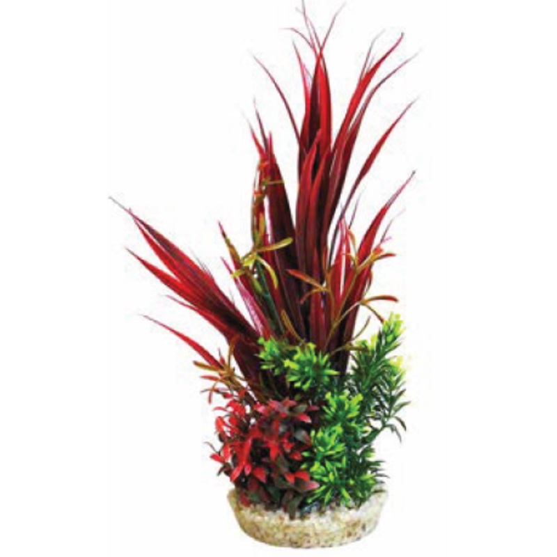 COLOR SWORT BOUQUET