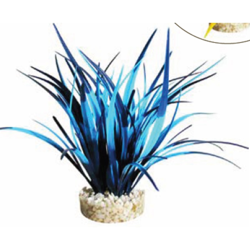 CORAL REEF