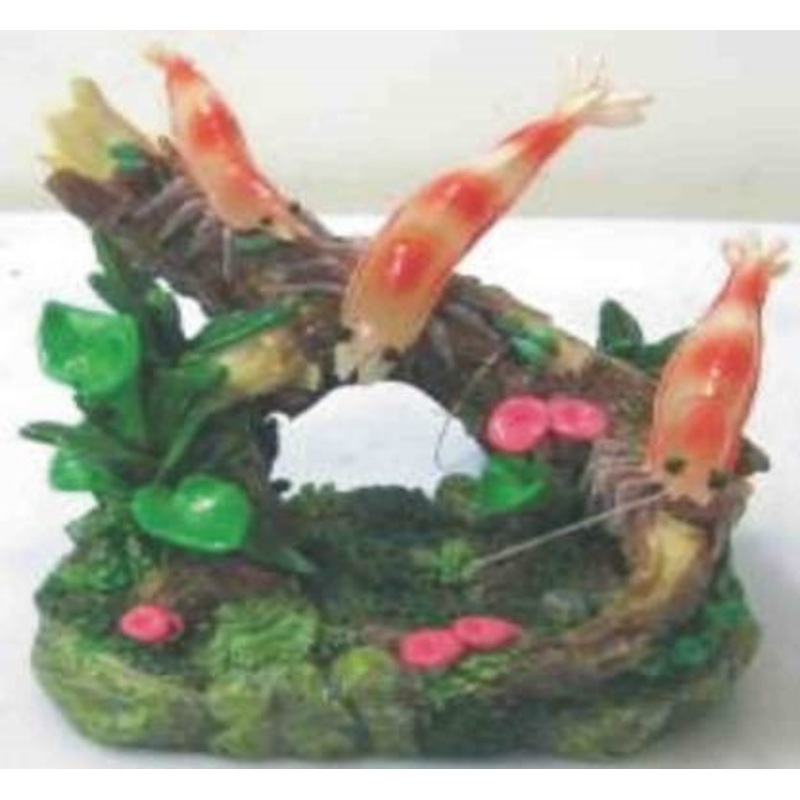 DECOR SHRIMP HABITAT