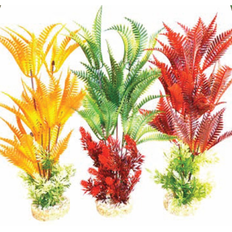 FERN XL