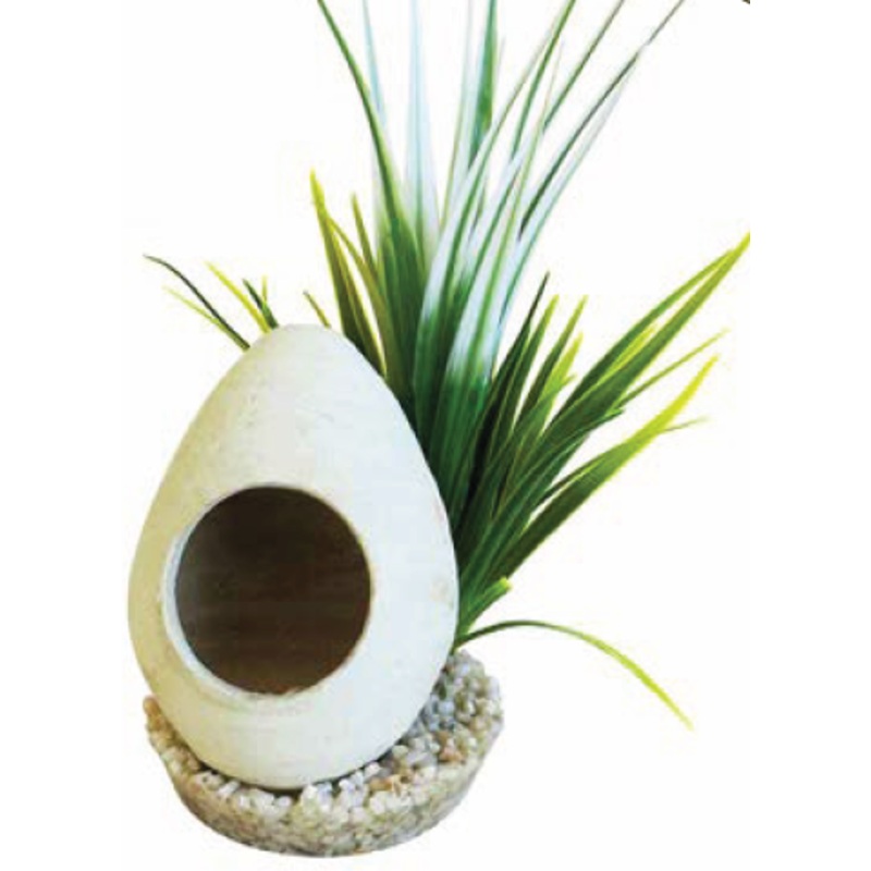 FISH HOME PLANTS