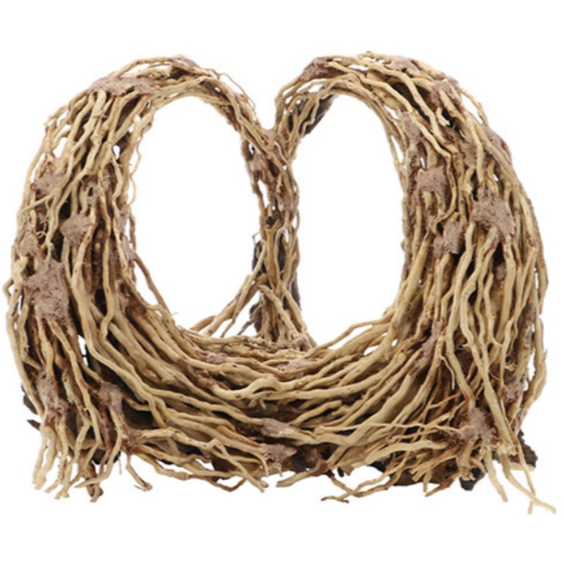 HEART ROOT