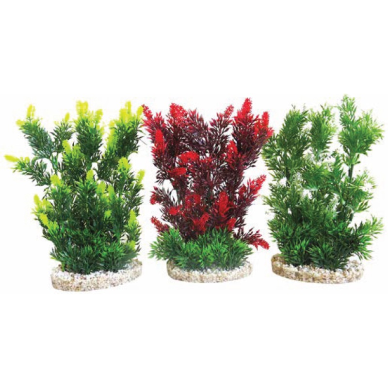 HEDGE