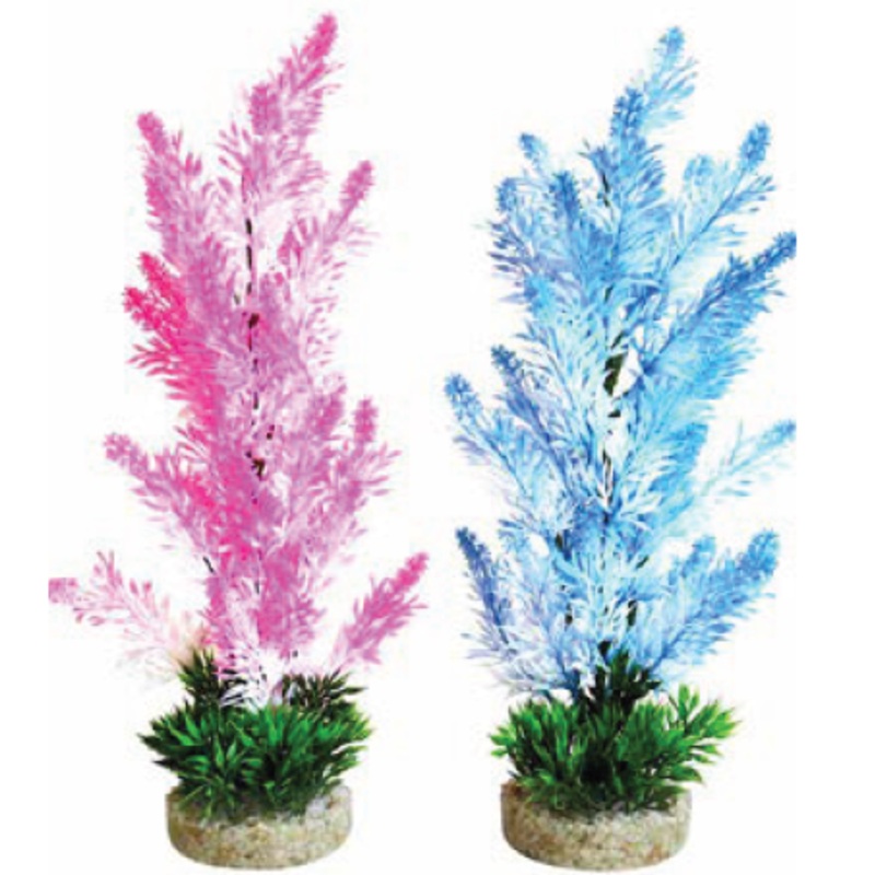 ICE COLOUR BUSH