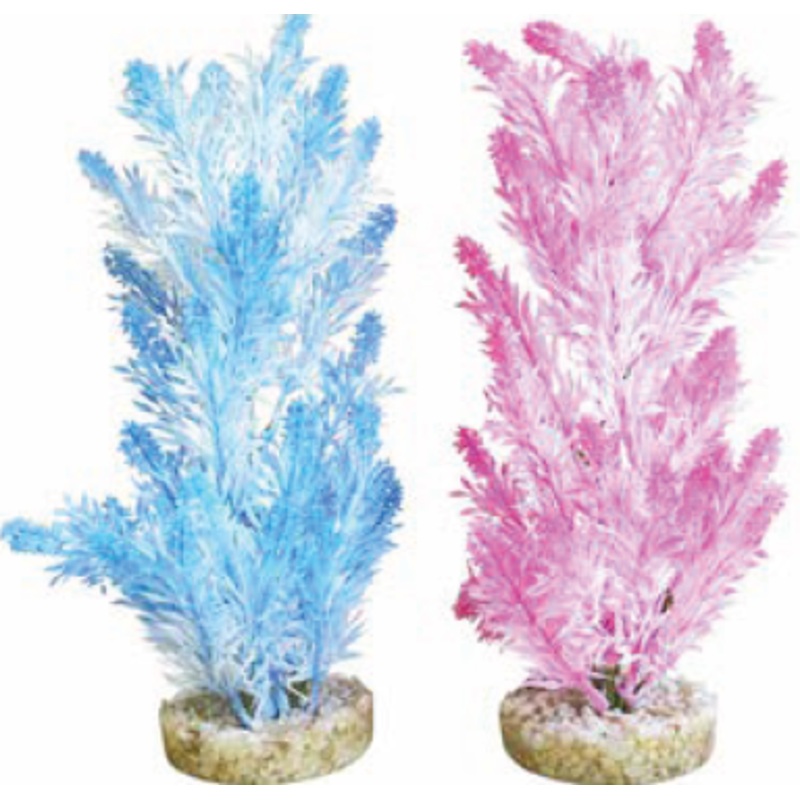 ICE COLOUR PLANT