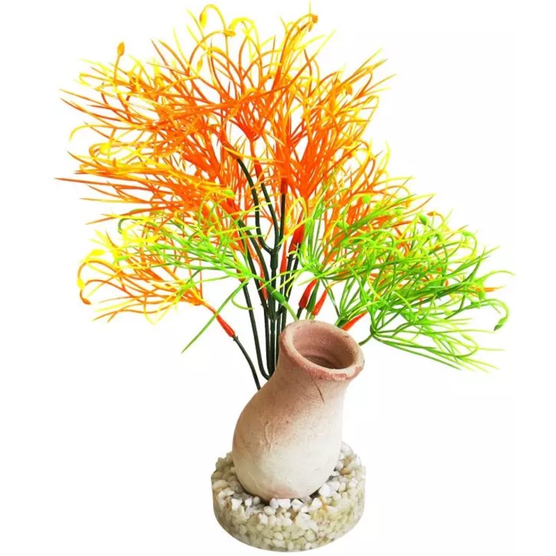 JAR EXOTIC GRASS