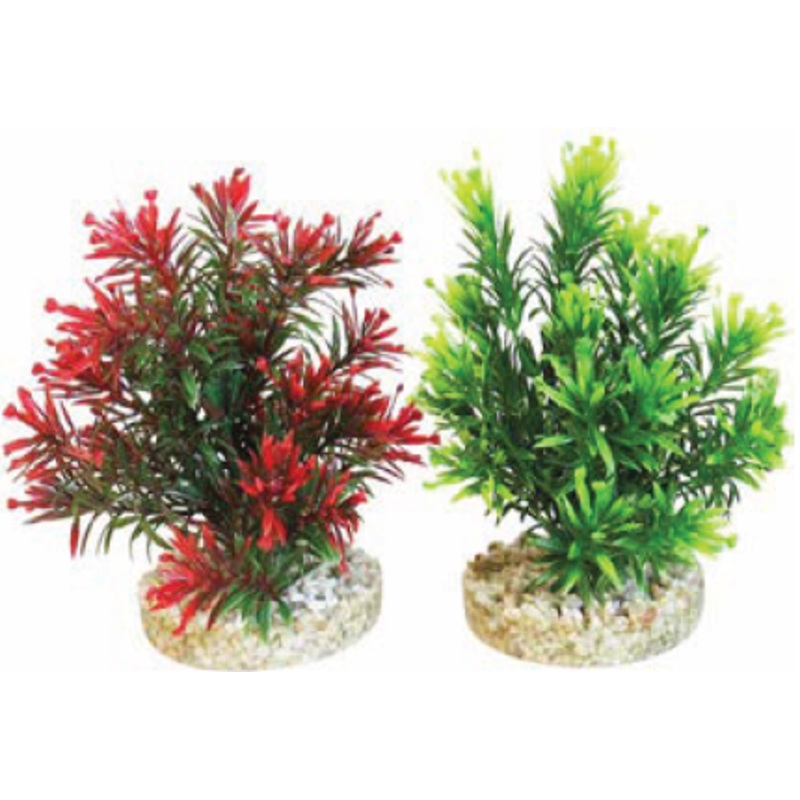 JUNGLE SMALL