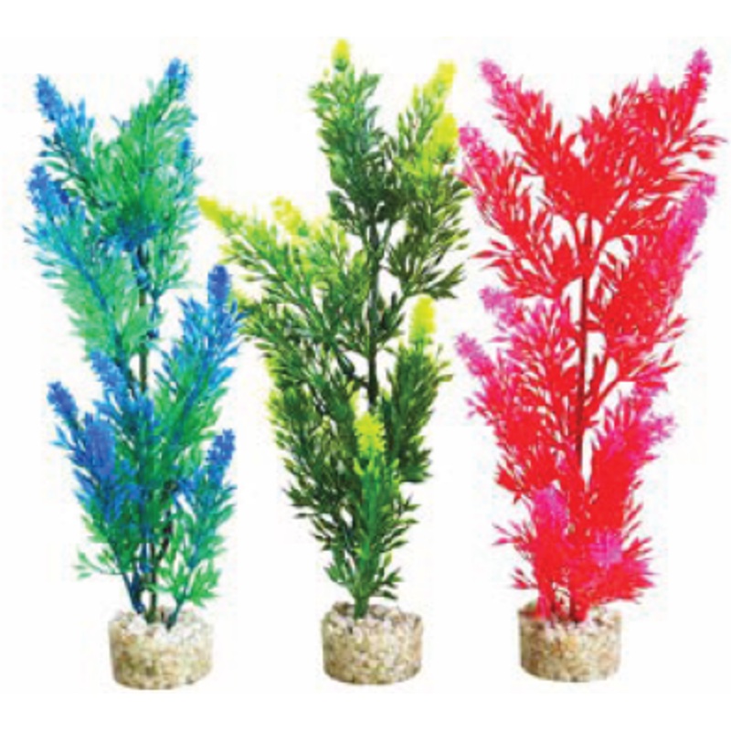 LARGE BUSH