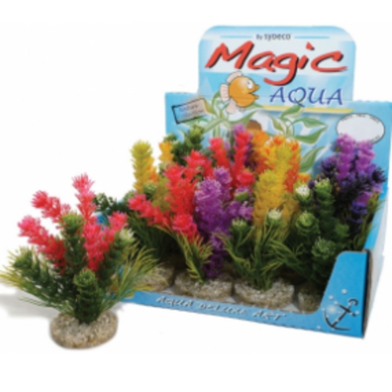 MAGIC AQUA FIESTA COLOURS 16cm