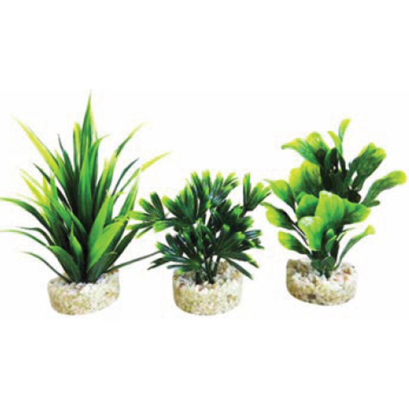 MAGIC AQUA NATURALS