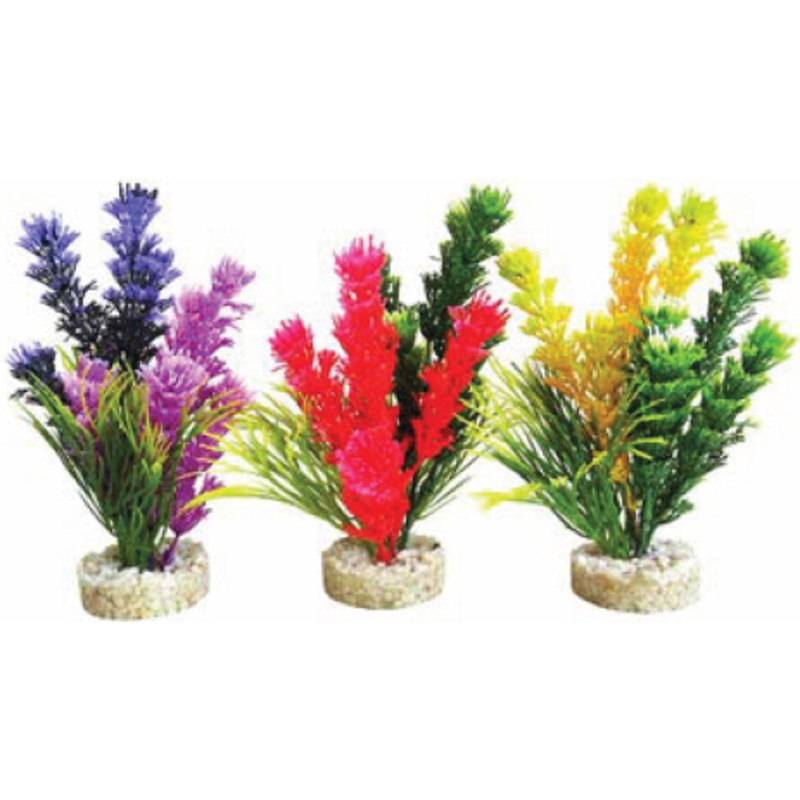 MAGIC FIESTA COLOURS
