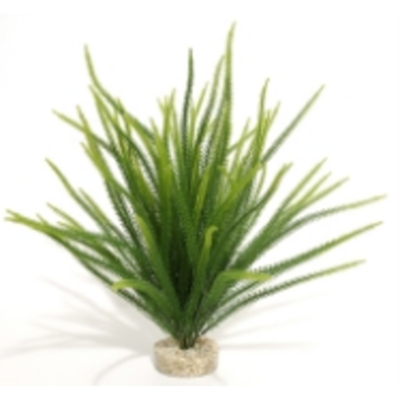 MAJESTIC OCEAN PLANT