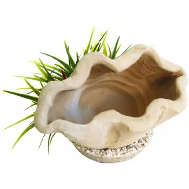 MARINE SHELTER PLANTS