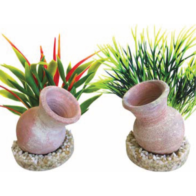 MINI JAR PLANTS