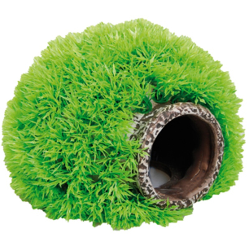 MOSSBALL WITH CAVE