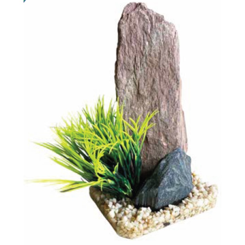 MOUNTAIN PEAK GRASS