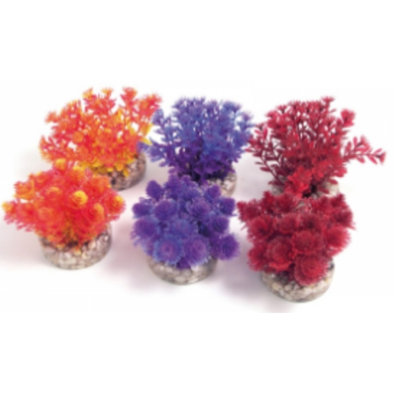 NANO BUSH COLOURED 6CM