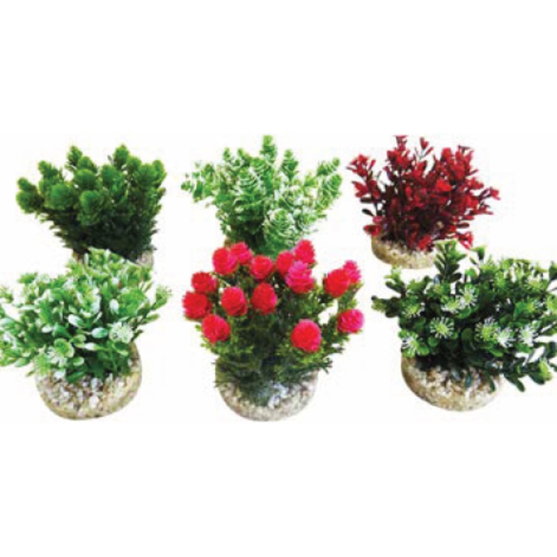 NANO BUSH NATURAL
