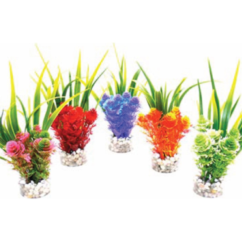 NANO FIESTA FLOWER