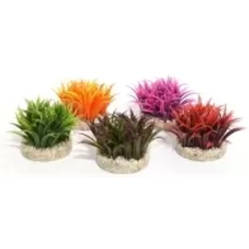 NANO FIESTA GRASS 6CM