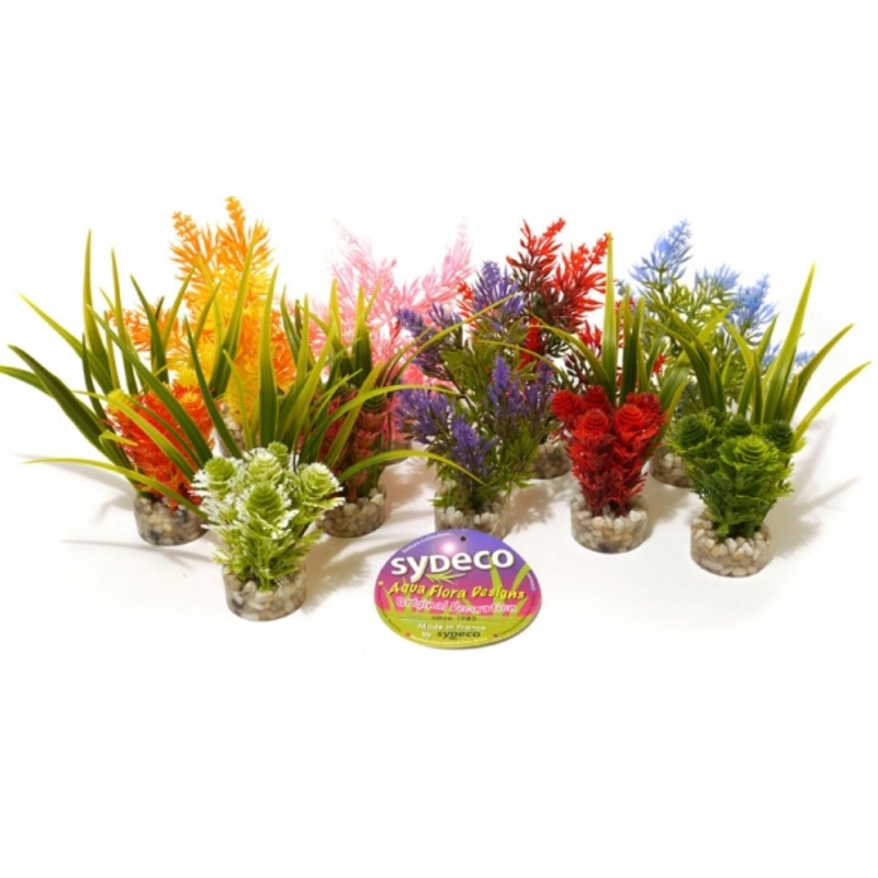 NANO FIESTA PLANTS 15cm