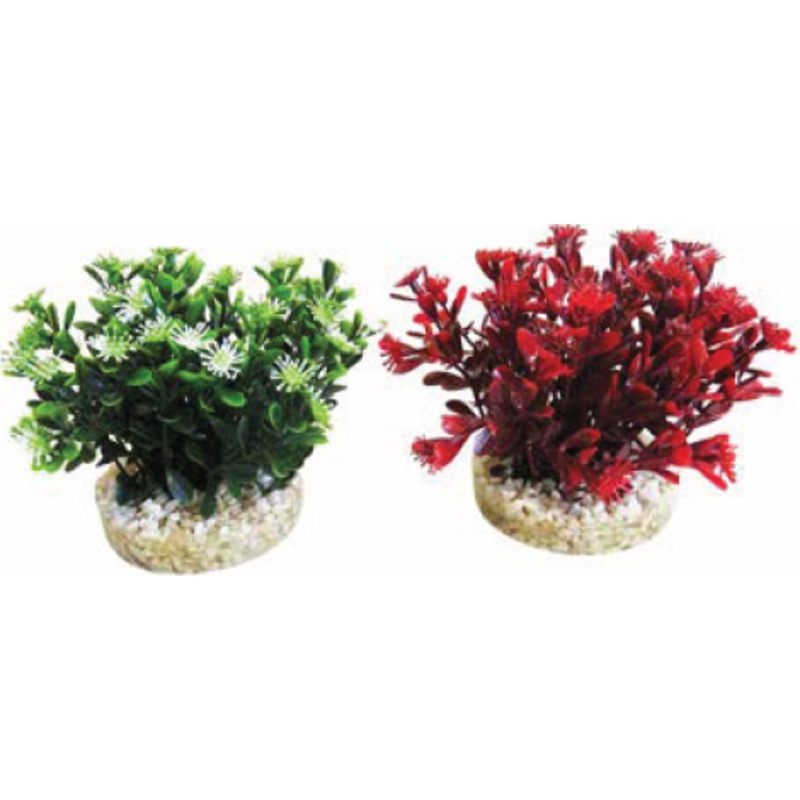 NANO FLOWERING BUSH