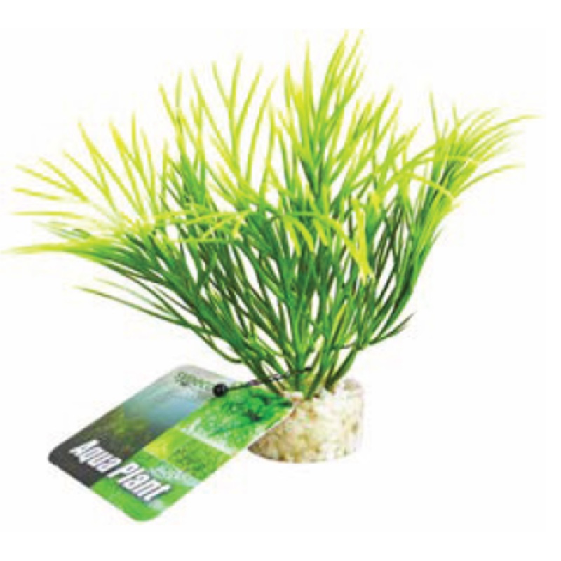NANO GREEN PLANT
