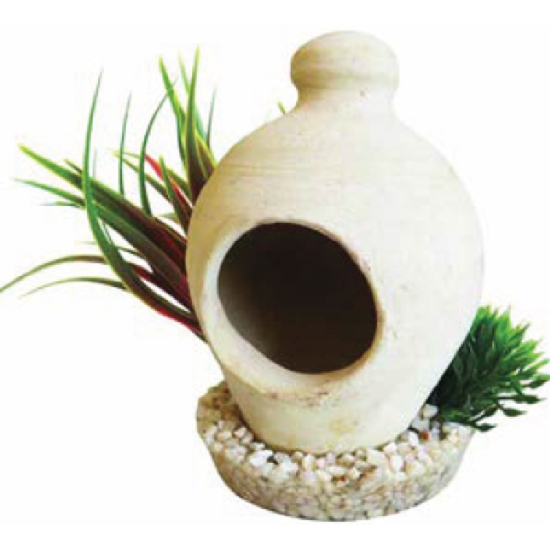 NEST PLANT