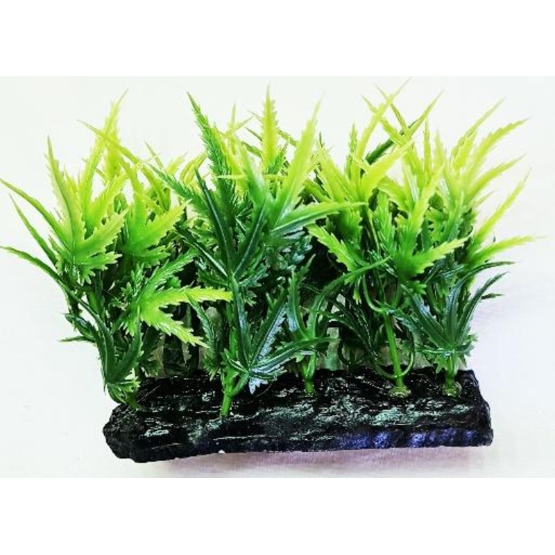 PLASTIC GREEN PLANT