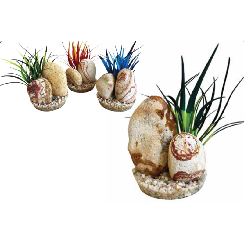 RAINBOW STONE PLANTS