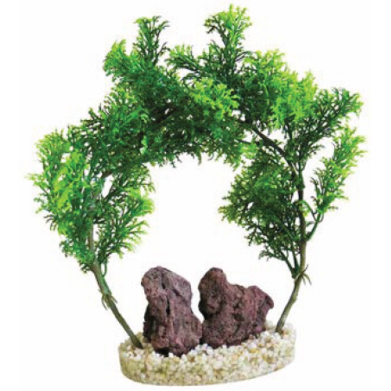 ROCK ARCH