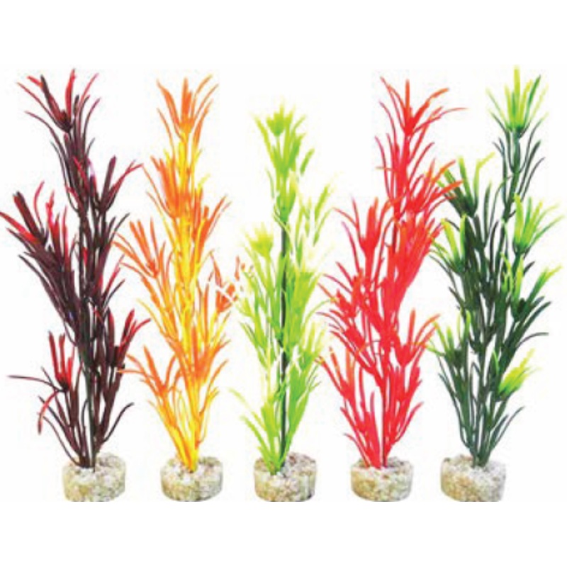 SEA GRASS BABY