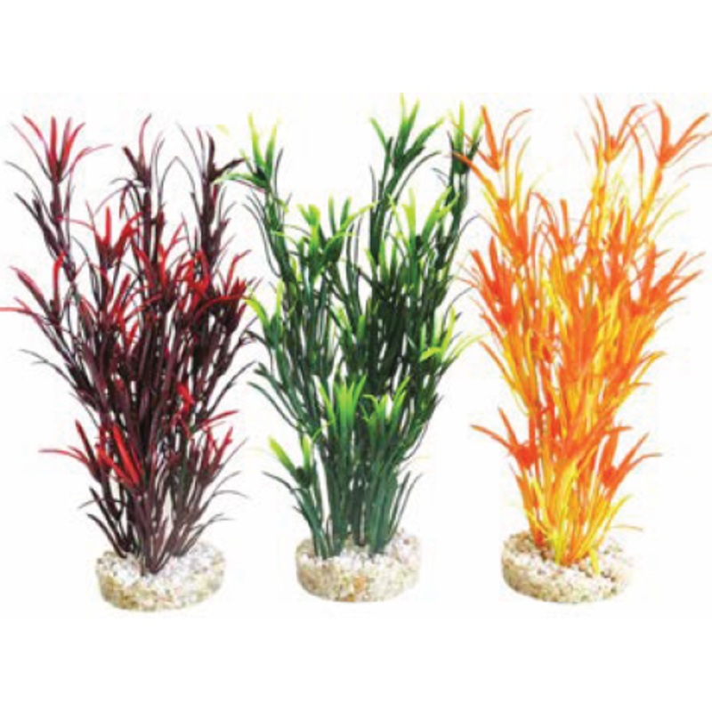 SEA GRASS MEDIUM