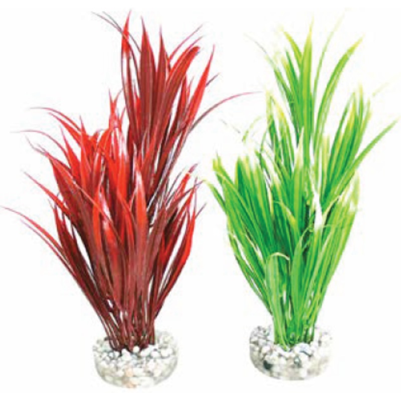 SWORT PLANT