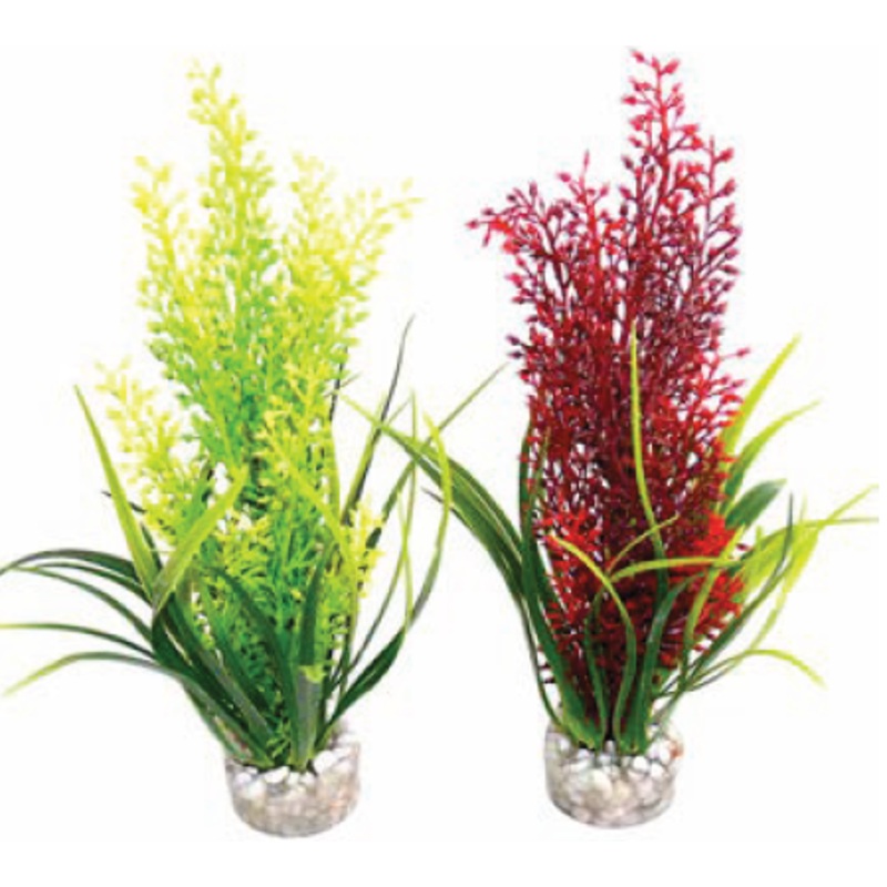 TROPICA