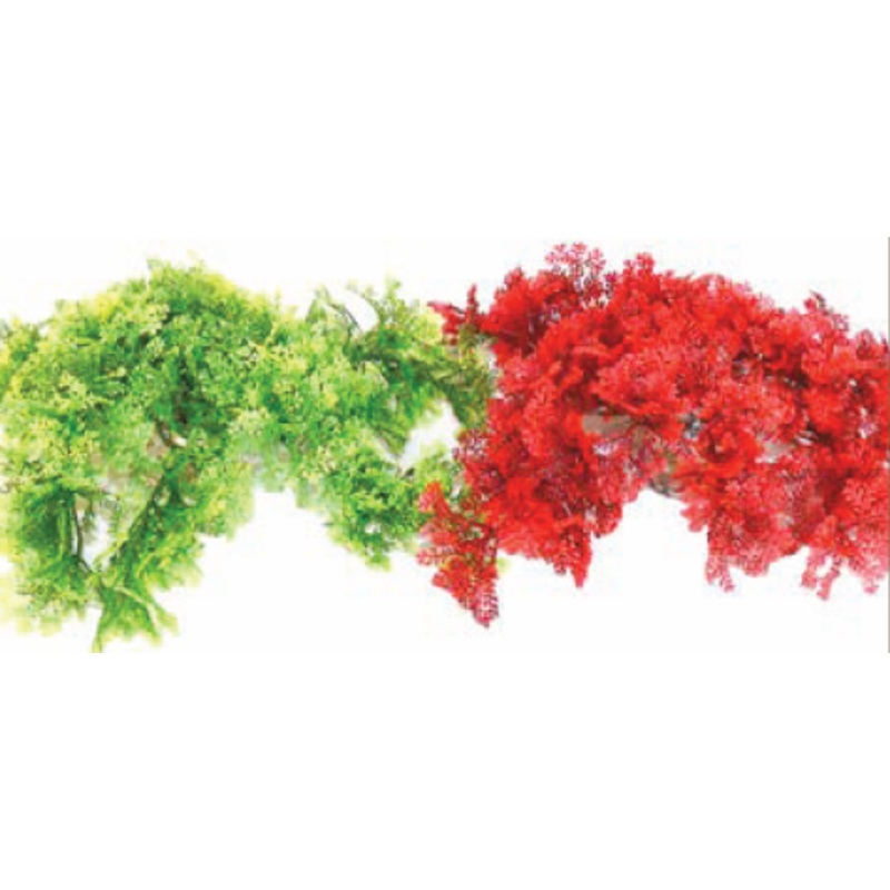 TROPICAL MOSS