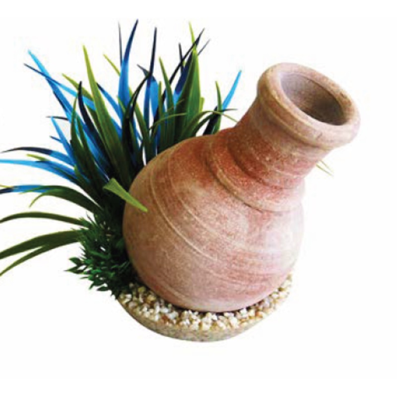 WISKY JAR PLANTS