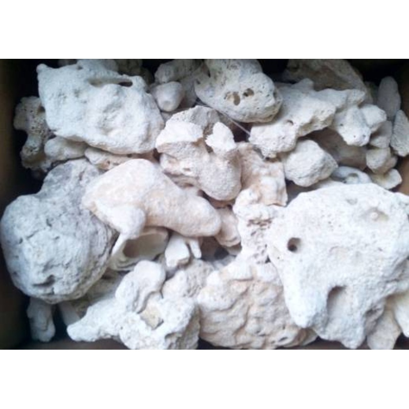CORAL GRAVEL 20KG  4-6cm