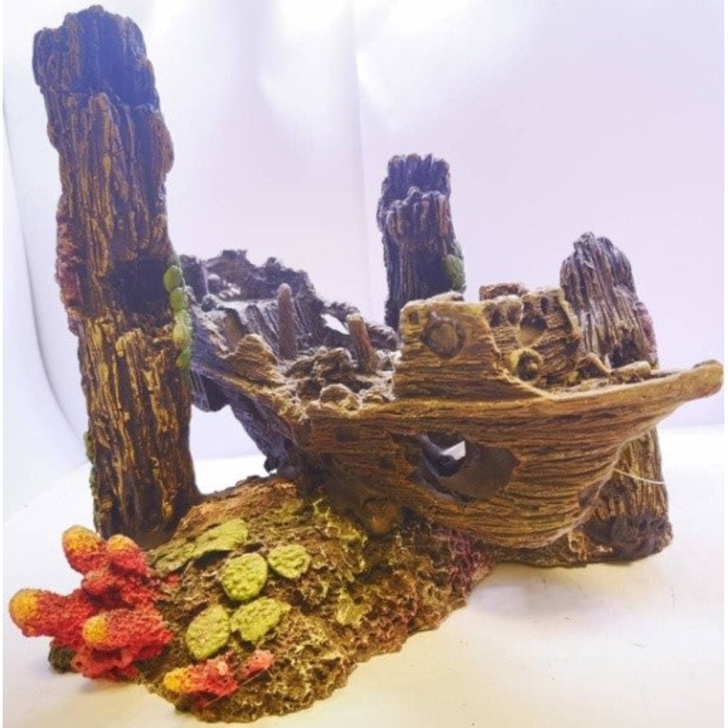 DCOR WRECKED SHIP ON CORAL REEF