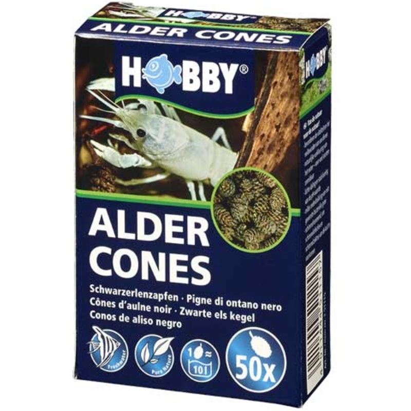 50pcs ALDER CONES