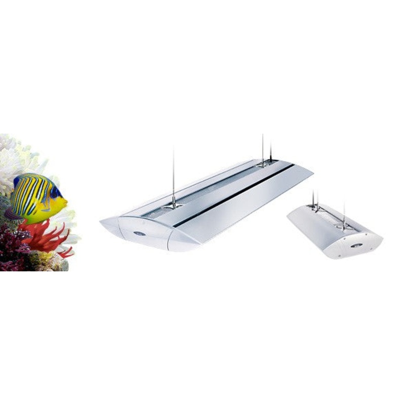 AQUARIUM PENDANTS