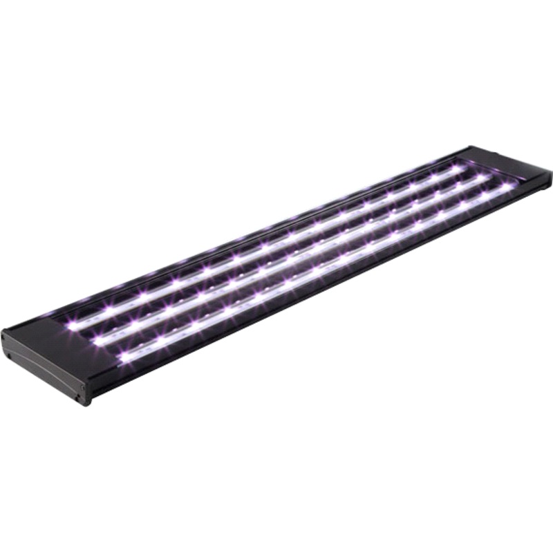 MAGIC LED