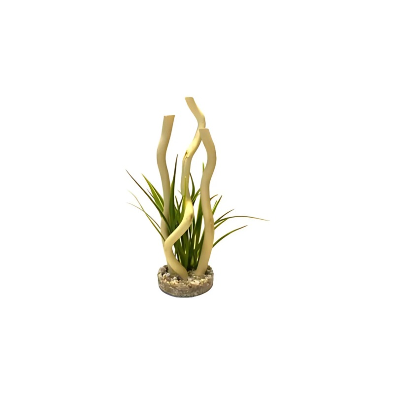 AQUA BRANCH PLANT